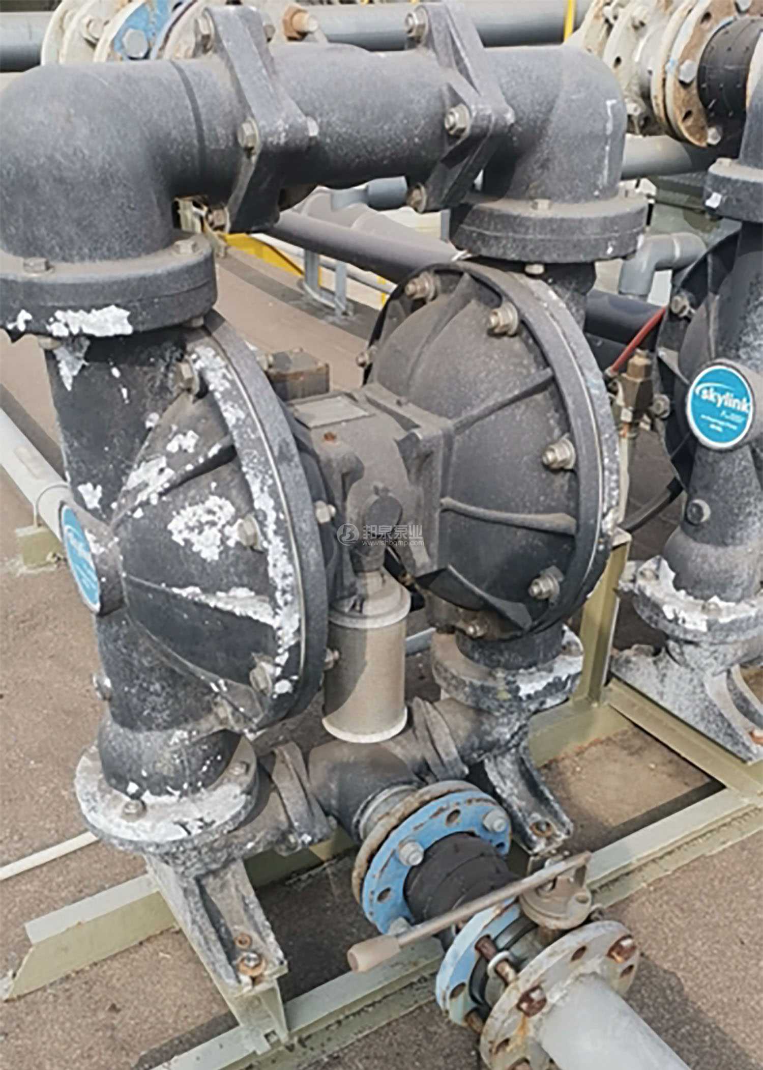 W80/3AAA/EEEE/0B0,Skylink,3寸污水氣動隔膜泵