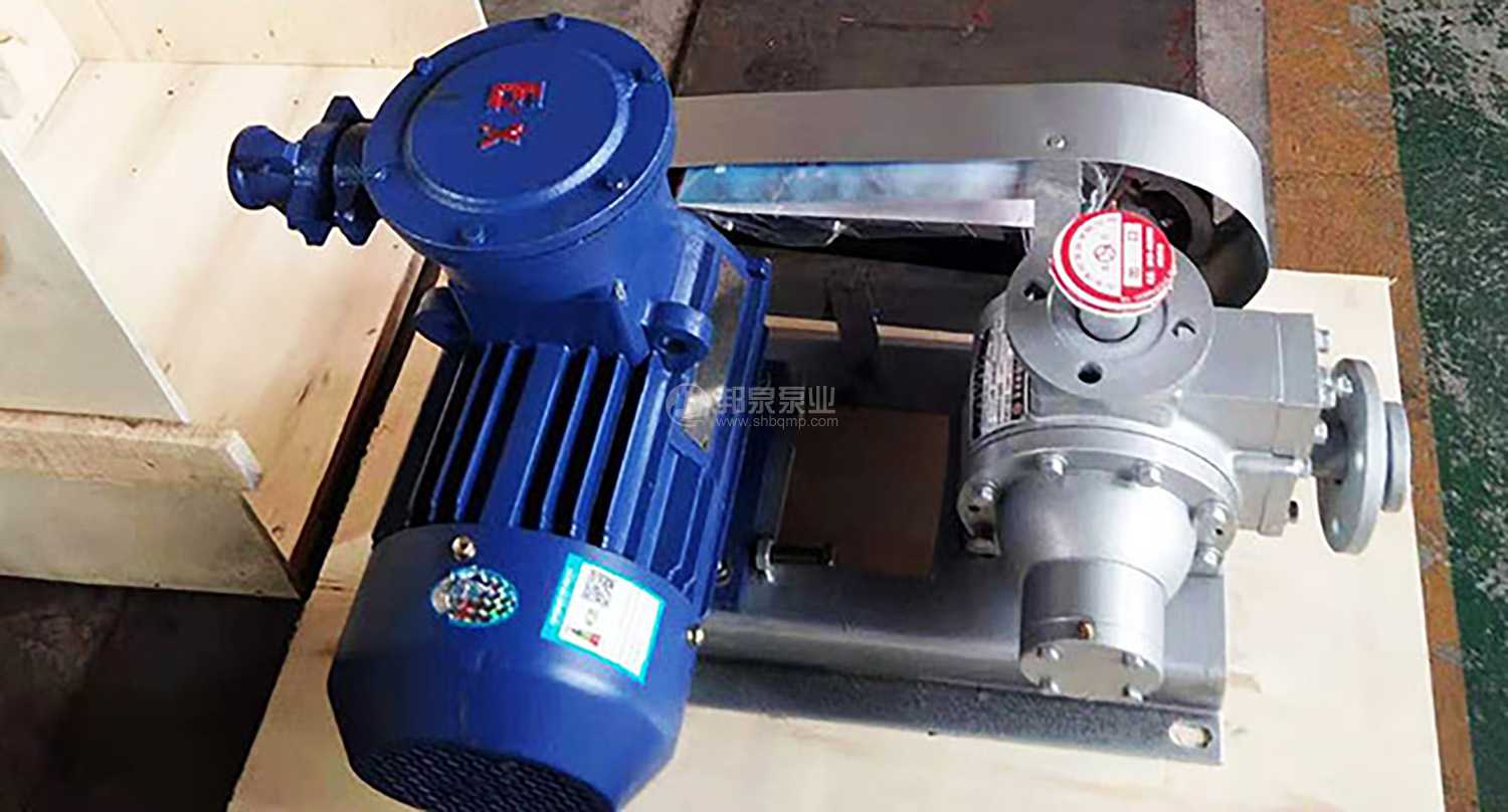 LPG VANE PUMP 液化石油氣泵
